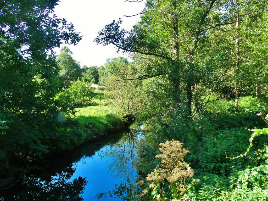 Vallée de la Vère reflections