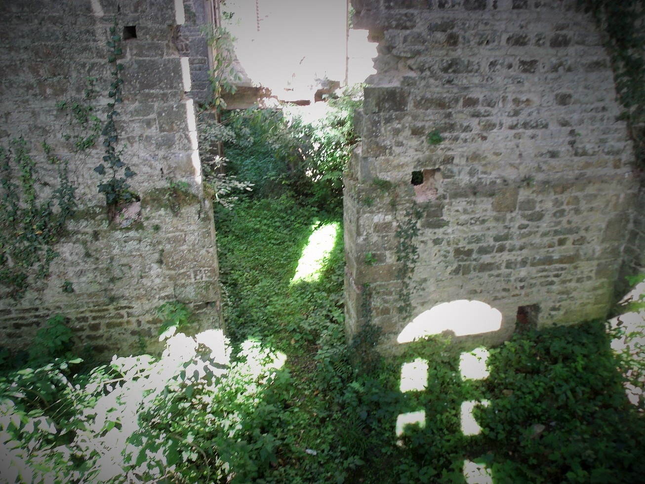 interior Chateau des Noyers du Tourneur