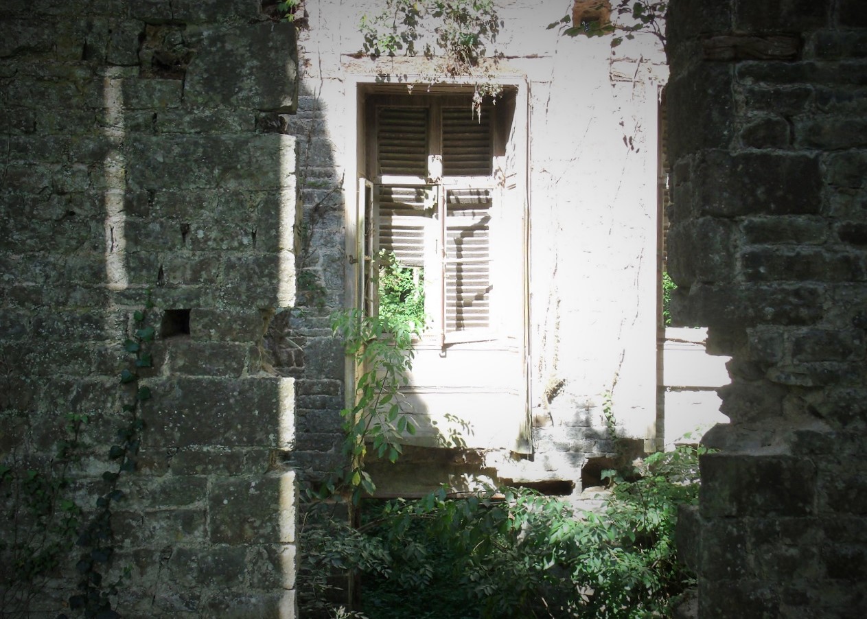 Chateau des Noyers du Tourneur