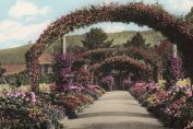 Tinted photograph of Monets garden at the beginning of the 20th century
